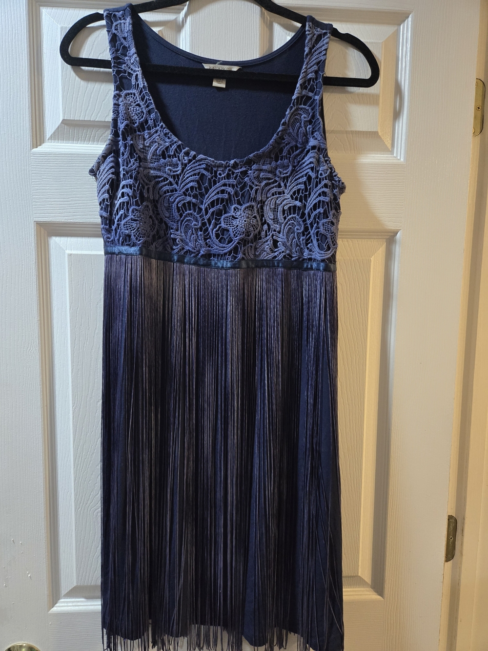Boston Proper Navy Lace Bodice Fringe Mini Dress